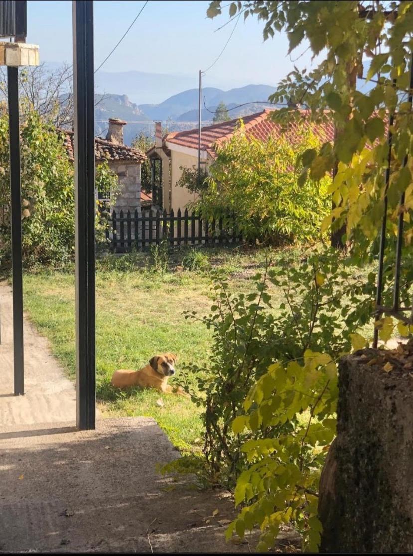 Holiday home χαρουλα 2